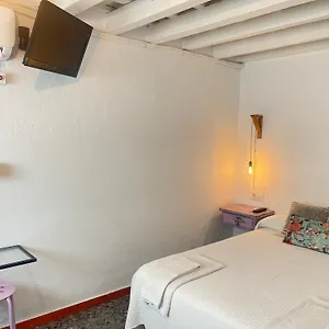 Socaire Conil Conil De La Frontera